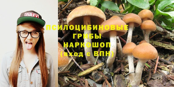 наркотики Алексин