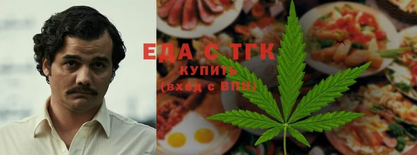 прущий лед Алзамай