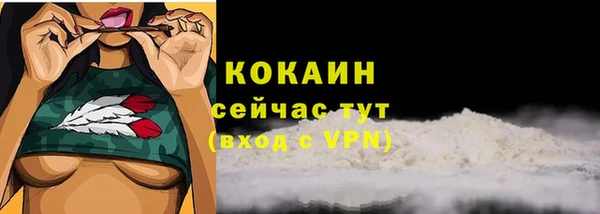 прущий лед Алзамай
