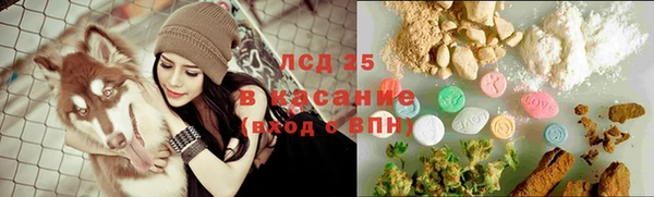 spice Алексеевка