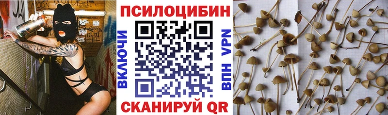 Псилоцибиновые грибы MAGIC MUSHROOMS дарнет шоп omg ссылка Уссурийск